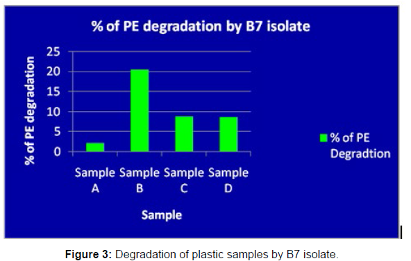 bioremediation-biodegradation-plastic