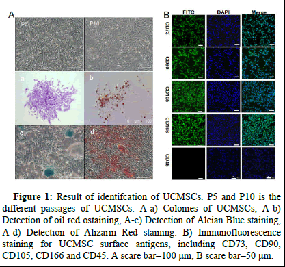 dpo-result dpo-result