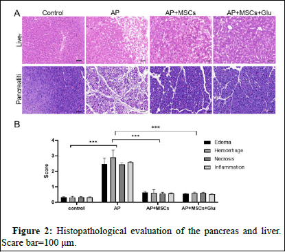 dpo-result dpo-result