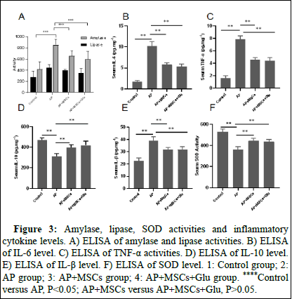 dpo-result dpo-result