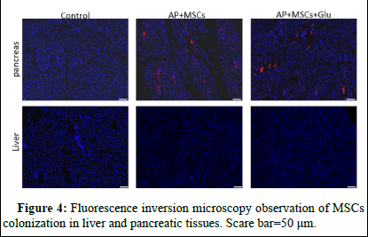 dpo-result dpo-result
