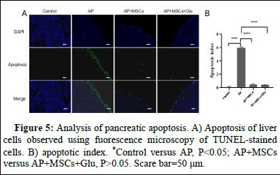 dpo-result dpo-result