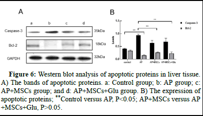 dpo-result dpo-result