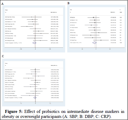 dpo-results dpo-results