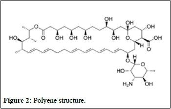 ijrdpl-anti ijrdpl-anti