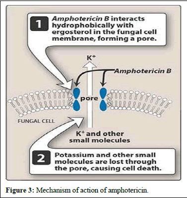 ijrdpl-anti ijrdpl-anti