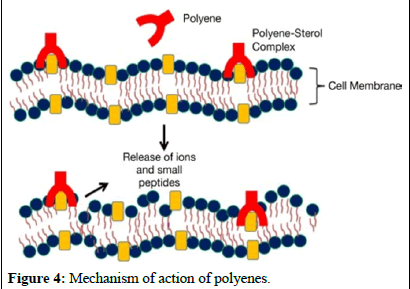 ijrdpl-anti ijrdpl-anti