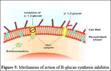 ijrdpl-anti ijrdpl-anti