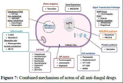 ijrdpl-anti ijrdpl-anti