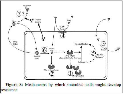 ijrdpl-anti ijrdpl-anti