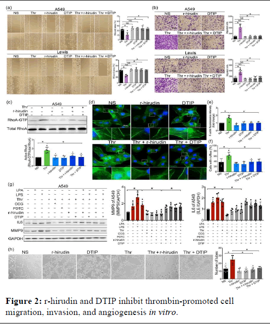 ijrdpl-patients ijrdpl-patients