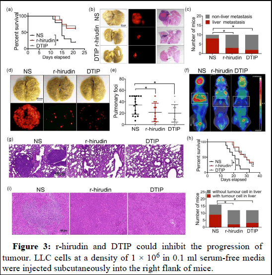 ijrdpl-patients ijrdpl-patients