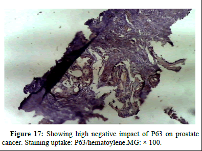 omha-normal omha-normal