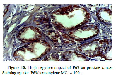 omha-normal omha-normal