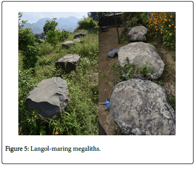 Bioremediation-Biodegradation-Langol-maring