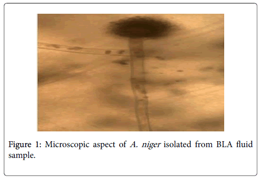 Science-Microscopic-aspect