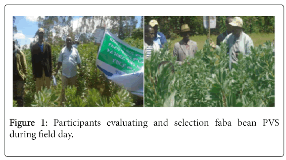 advances-crop-science-technology-Participants-evaluating
