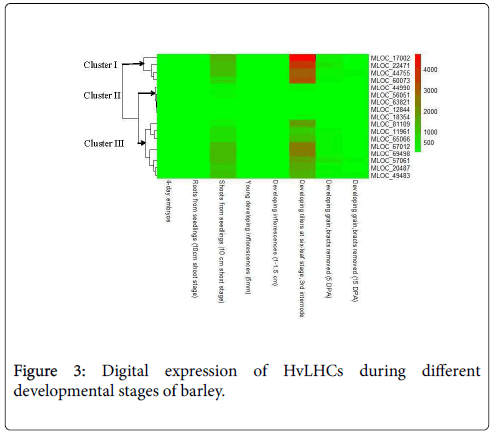 advances-crop-science-technology-developmental