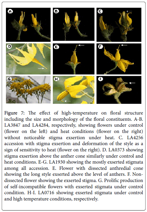advances-crop-science-technology-floral-structure