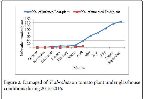 advances-crop-science-technology-tomato