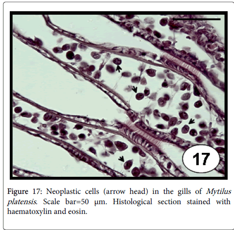 archives-parasitology-microorganisms