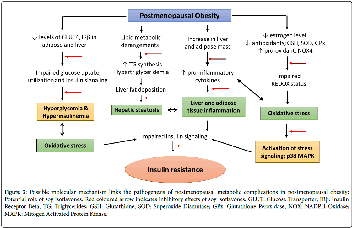 Dieta hipertrigliceridemia pdf