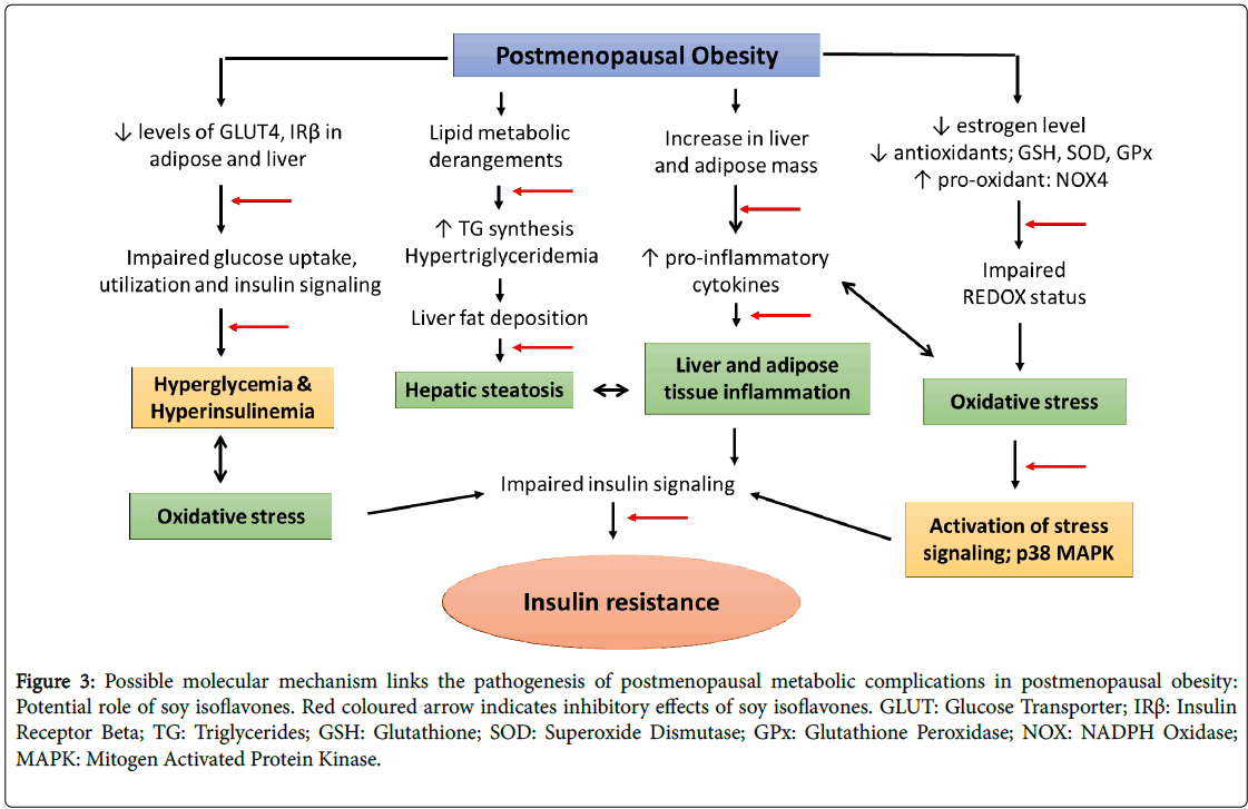 Human Biochemistry Related Keywords & Suggestions - Human Bi