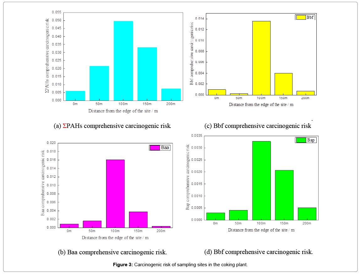 bioremediation-biodegradation-Carcinogenic-risk