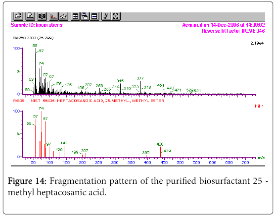 bioremediation-biodegradation-Fragmentation-pattern