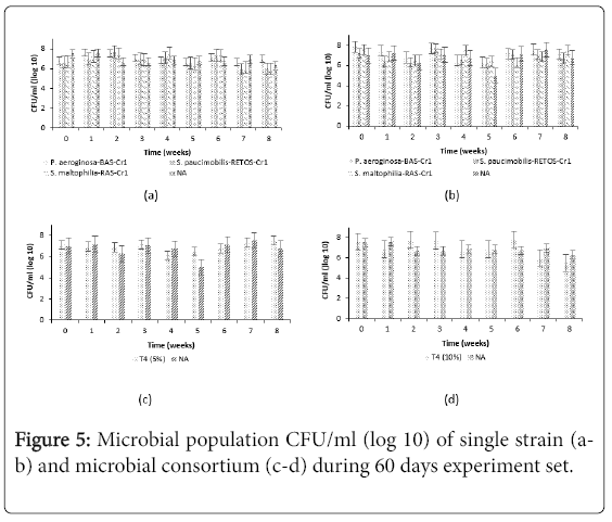 Exercise 6 Quantitation Of Microbial Population