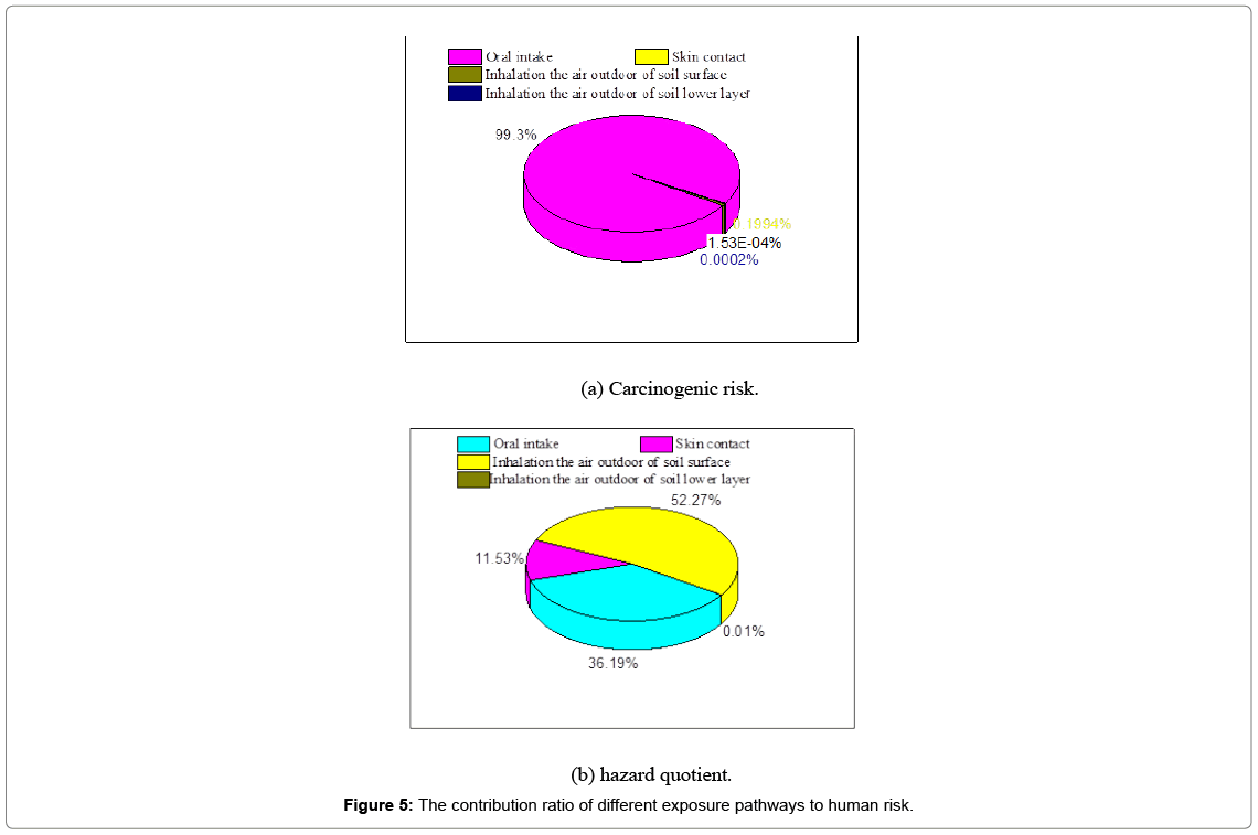 bioremediation-biodegradation-exposure-pathways