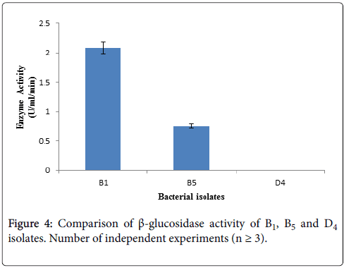 bioremediation-biodegradation-glucosidase