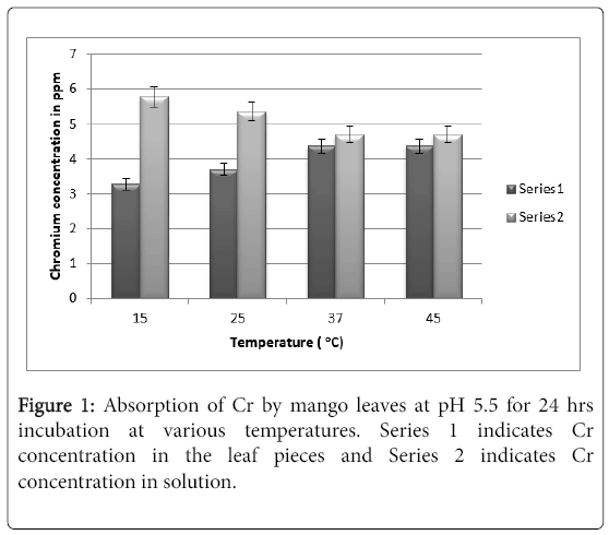bioremediation-biodegradation-mango-leaves