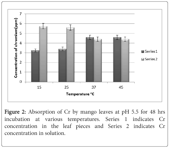 bioremediation-biodegradation-mango-leaves