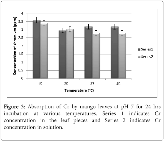 bioremediation-biodegradation-mango-leaves
