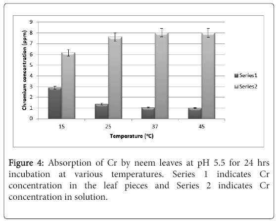 bioremediation-biodegradation-neem-leaves