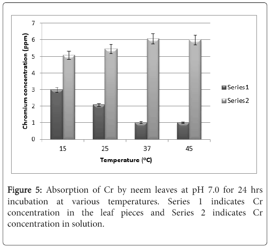 bioremediation-biodegradation-neem-leaves