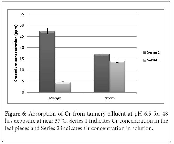bioremediation-biodegradation-tannery-effluent