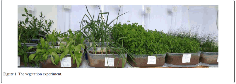 bioremediation-biodegradation-vegetation