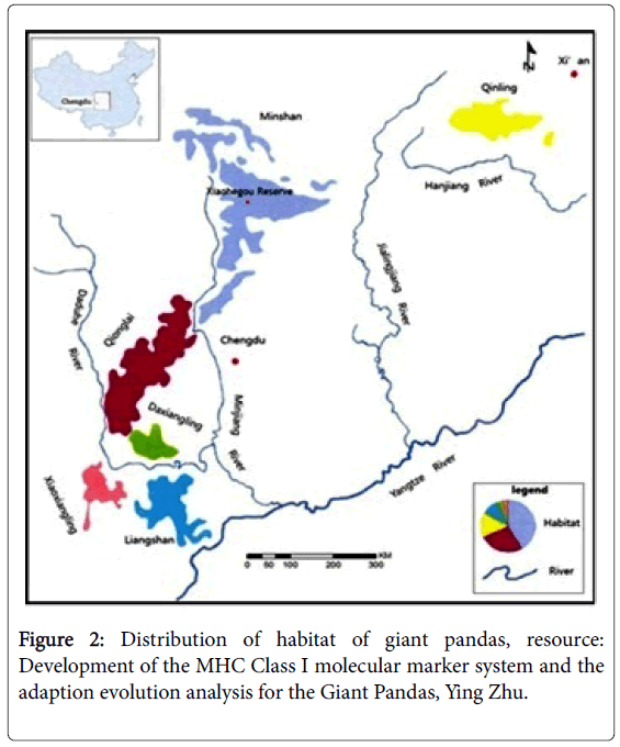 bioresearch-communications-habitat-giant-pandas