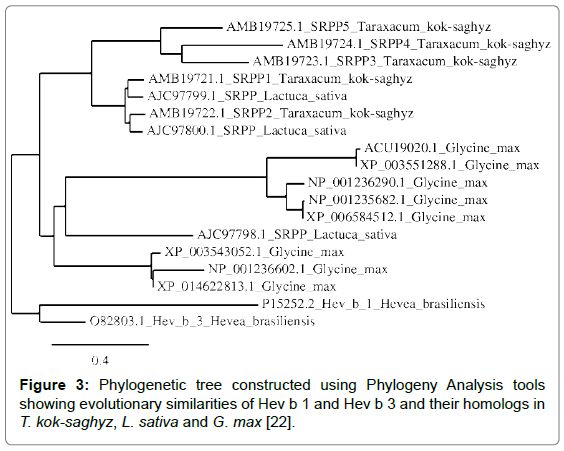 biotechnology-biomaterials-Phylogeny-Analysis