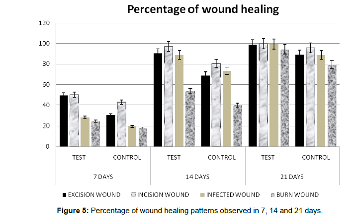 biotechnology-biomaterials-healing-patterns