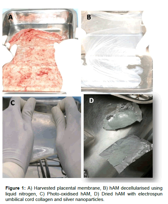 biotechnology-biomaterials-placental-membrane