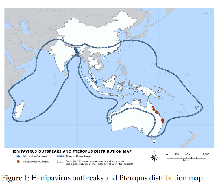 bioterrorism-biodefense-henipavirus-outbreaks
