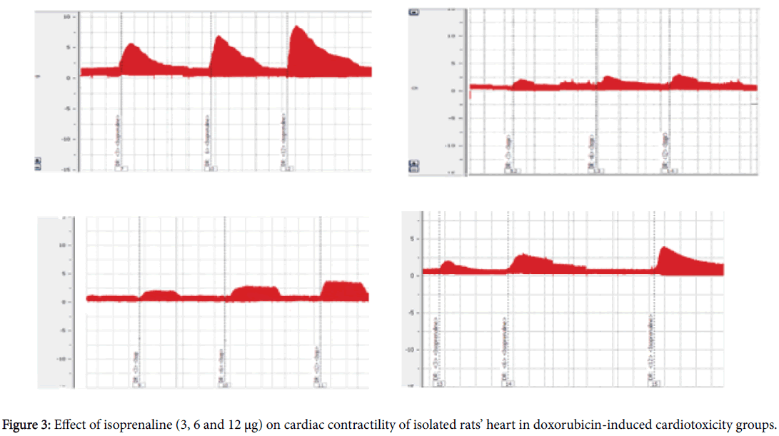 clinical-pharmacology-biopharmaceutics-Effect-isoprenaline
