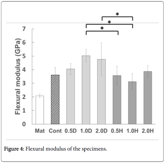 Effects of Silanization Conditions on Flexural Properties of Sic