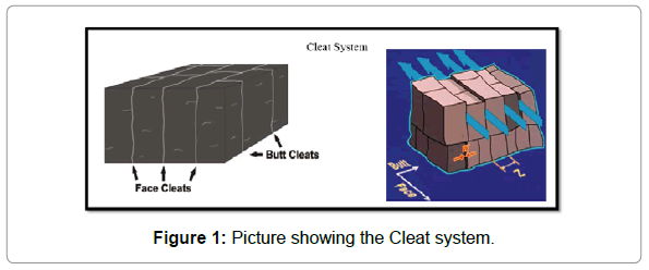 earth-science-climatic-change-Cleat-system