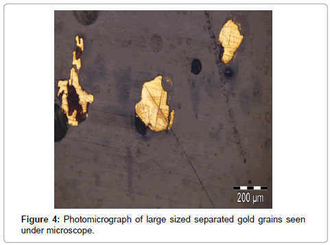 Jackpot! Geological Survey of India finds gold deposits in Odisha