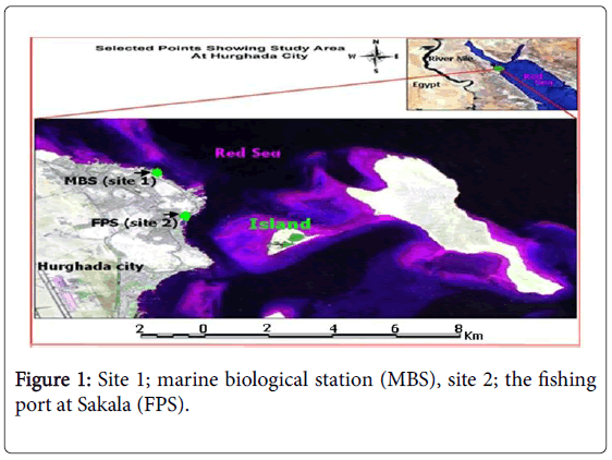 ecology-toxicology-marine-biological-station