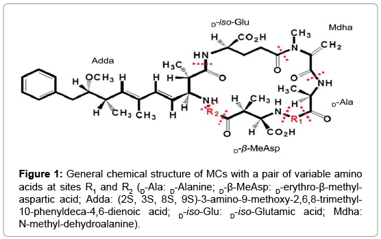 environmental-analytical-toxicology-General-chemical-8-556-g001.png